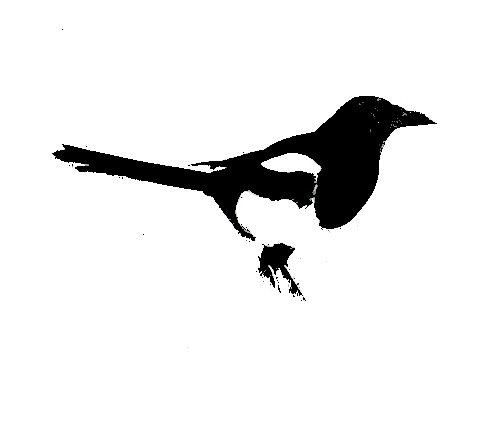 Силуэт сороки для детей