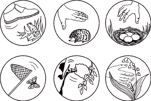 Ветка березы весной