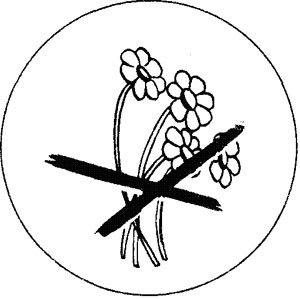 Плакат береги растения