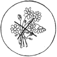 Правила поведения в лесу раскраска