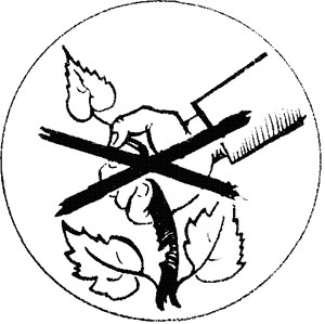 Не вырубайте леса раскраска