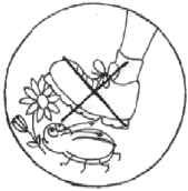 Экологические знаки раскраска