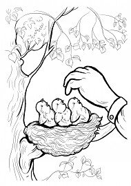 Экологические знаки раскраска