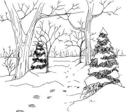 Зимний лес рисунок карандашом