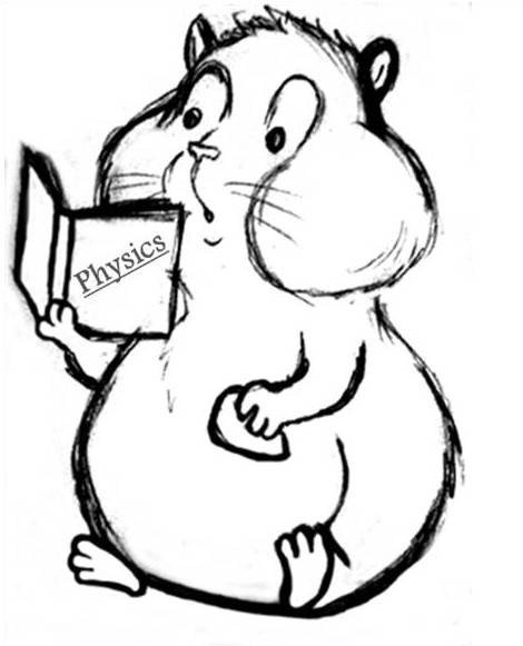 Хомяк для выжигания