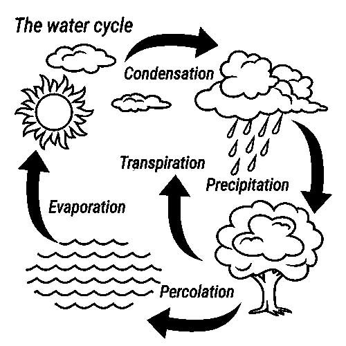 Круговорот воды в природе схема