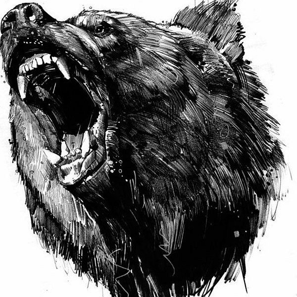 Медведь эскиз