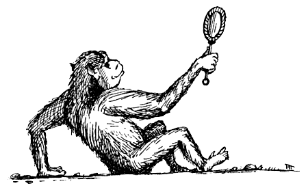 Рисунок к басне Крылова зеркало и обезьяна