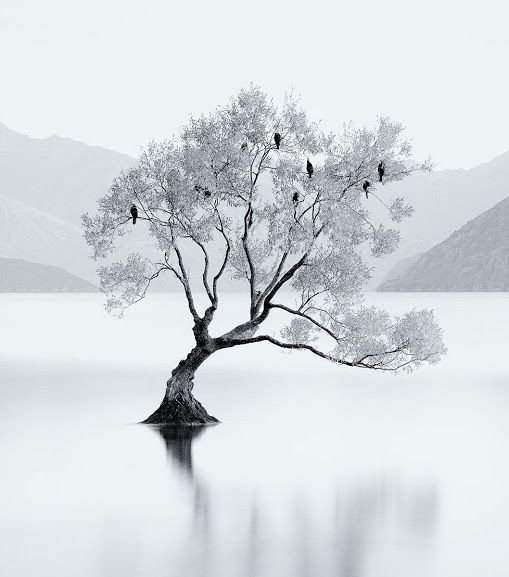 Белый пейзаж