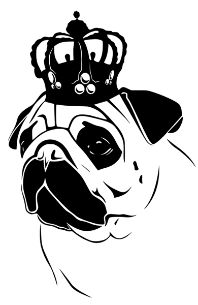 Мопс черно белый