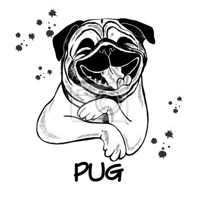 Мопс вектор чб