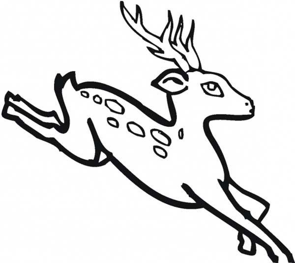 Голова оленя для детей