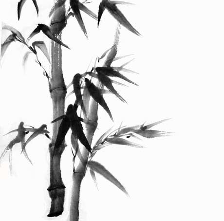 Черно белый рисунок бамбук (48 фото)