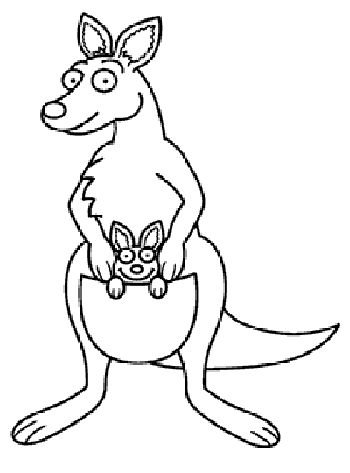 Кенгуру контур