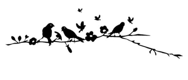 Птицы на ветке трафарет узкие