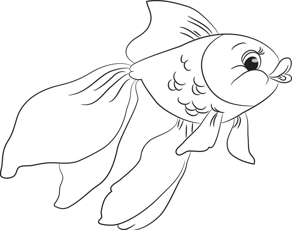 Золотая рыбка вуалехвост раскраска