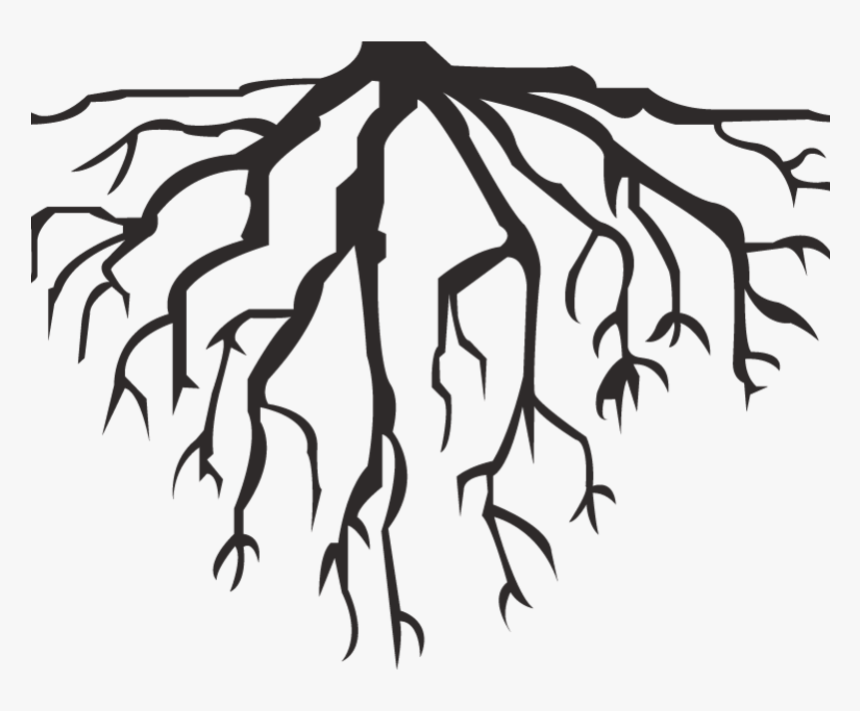 Корни черно белая. Корни силуэт. Дерево с корнями вектор. Силуэт дерева на прозрачном фоне. Корни Графика.