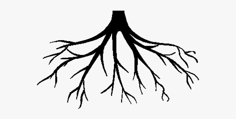 Дерево с корнями на прозрачном фоне. Корни дерева черно белые. Дерево с корнями вектор. Корни на прозрачном фоне.