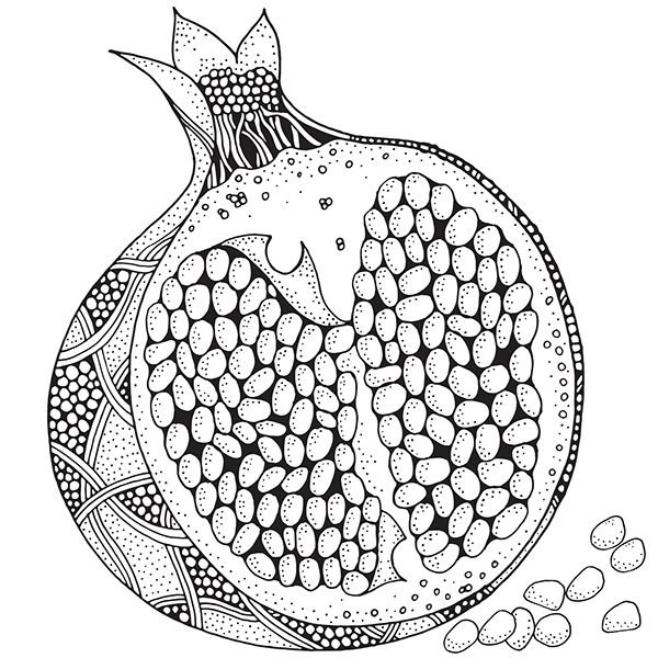 Гранат рисунок карандашом