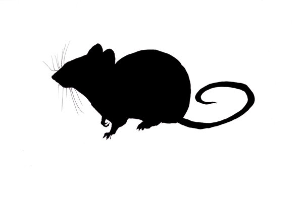 Силуэт мышки