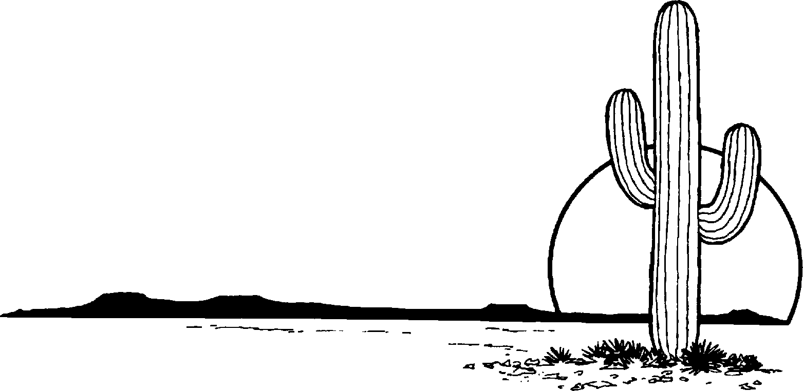 Кактус в пустыне на белом фоне