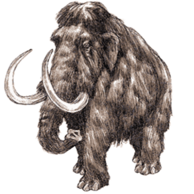 Мамонт черно белый