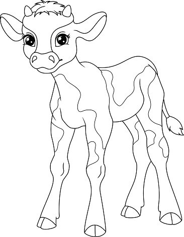 Рисунок теленка для детей черно белый
