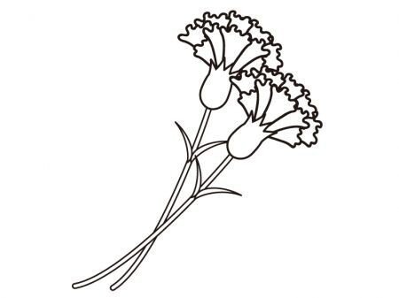 Гвоздики рисунок