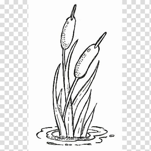 Рисование камыша