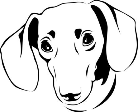 Такса трафарет