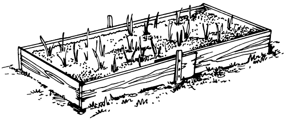 Грядка раскраска