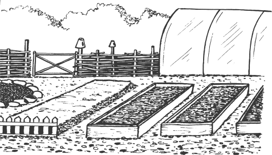 Раскраска овощи на грядке