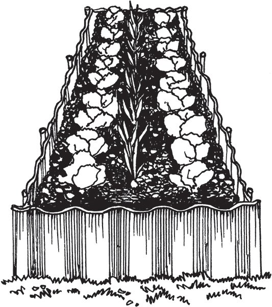 Грядка раскраска для детей