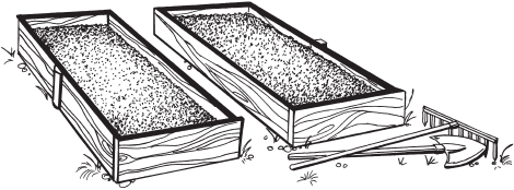 Грядка раскраска