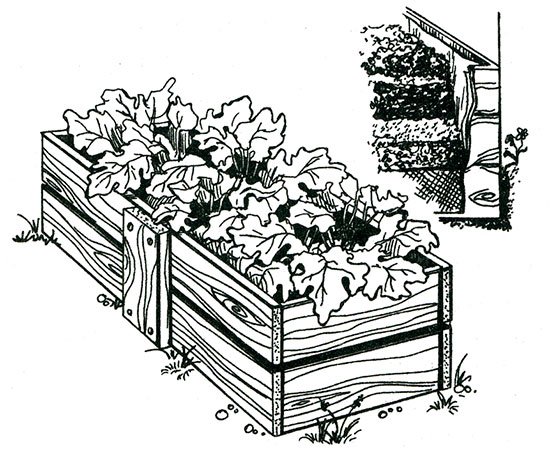 Раскраска дети копают грядки