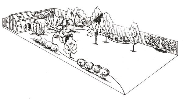 Грядки карандашом