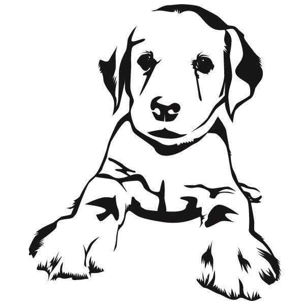 Пес черно белый рисунок (36 фото)