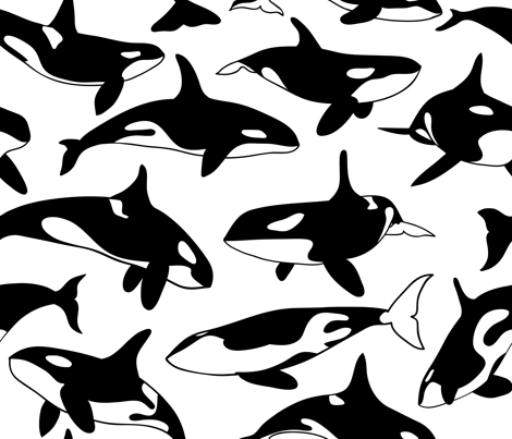 Касатка референс