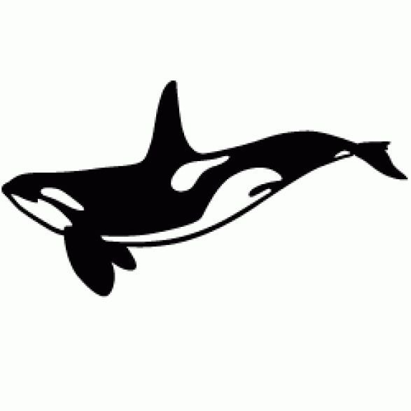 Касатка с детьми тату