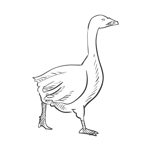 Гусь раскраска