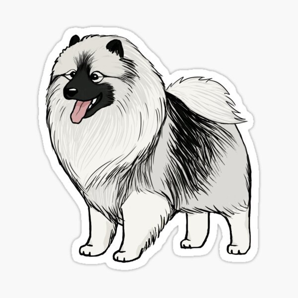 Кеесхонд вектор