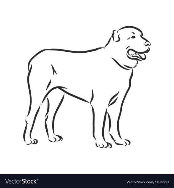 Алабай вектор