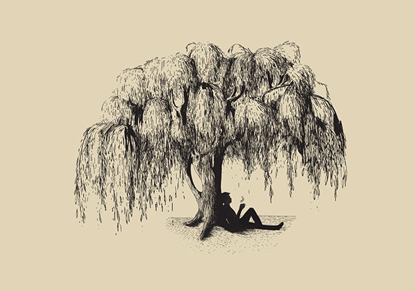 Ива черно белая