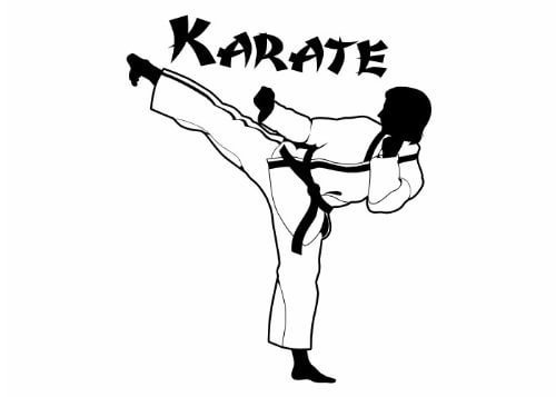Кекушин каратэ вектор