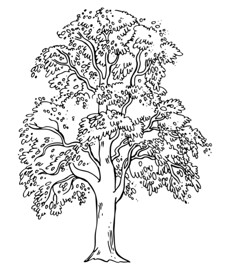 Дерево раскраска