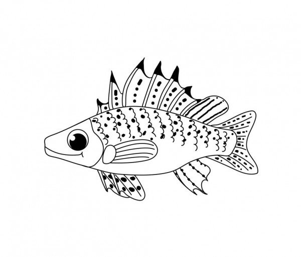 Речные рыбы Ерш раскраска для детей