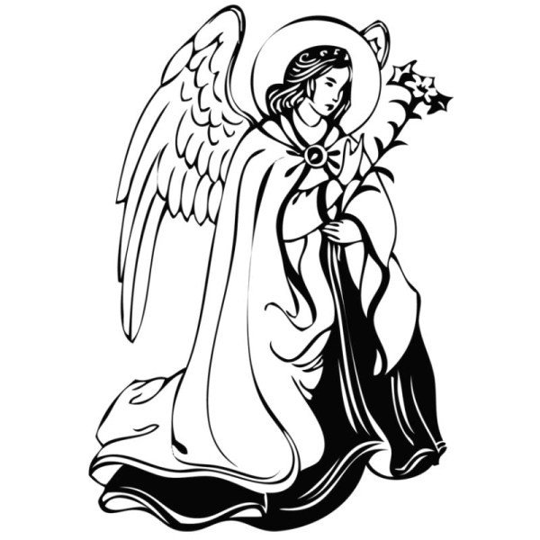 Ангел вектор