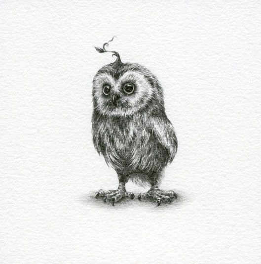 Сова Графика прикольная