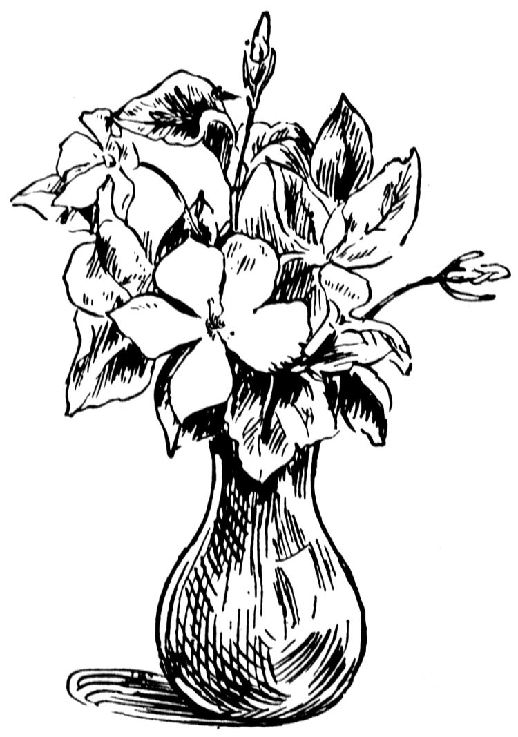 Зарисовка цветов в вазе