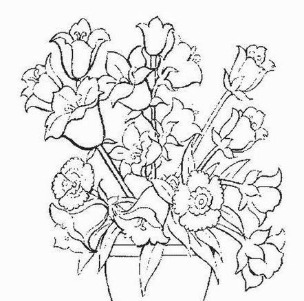 Раскраска натюрморт с цветами